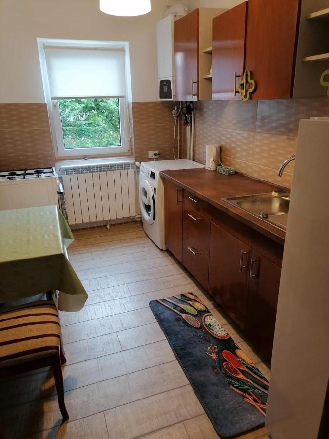 Anna'S Apartment Sibiu Bagian luar foto